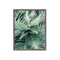 Picture of Green Ferns _GroupedProduct_Rectangle_Portrait_Photography _GroupedProduct_Rectangle_Portrait_Framed_Matted_