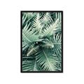 Picture of Green Ferns _GroupedProduct_Rectangle_Portrait_Photography _GroupedProduct_Rectangle_Portrait_Framed_Matted_