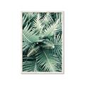 Picture of Green Ferns _GroupedProduct_Rectangle_Portrait_Photography _GroupedProduct_Rectangle_Portrait_Framed_Matted_