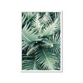 Picture of Green Ferns _GroupedProduct_Rectangle_Portrait_Photography _GroupedProduct_Rectangle_Portrait_Framed_Matted_