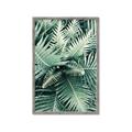 Picture of Green Ferns _GroupedProduct_Rectangle_Portrait_Photography _GroupedProduct_Rectangle_Portrait_Framed_Matted_