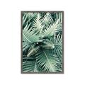 Picture of Green Ferns _GroupedProduct_Rectangle_Portrait_Photography _GroupedProduct_Rectangle_Portrait_Framed_Matted_