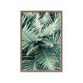 Picture of Green Ferns _GroupedProduct_Rectangle_Portrait_Photography _GroupedProduct_Rectangle_Portrait_Framed_Matted_