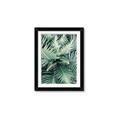 Picture of Green Ferns _GroupedProduct_Rectangle_Portrait_Photography _GroupedProduct_Rectangle_Portrait_Framed_Matted_