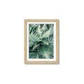 Picture of Green Ferns _GroupedProduct_Rectangle_Portrait_Photography _GroupedProduct_Rectangle_Portrait_Framed_Matted_