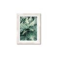 Picture of Green Ferns _GroupedProduct_Rectangle_Portrait_Photography _GroupedProduct_Rectangle_Portrait_Framed_Matted_