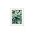 Picture of Green Ferns _GroupedProduct_Rectangle_Portrait_Photography _GroupedProduct_Rectangle_Portrait_Framed_Matted_