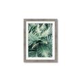 Picture of Green Ferns _GroupedProduct_Rectangle_Portrait_Photography _GroupedProduct_Rectangle_Portrait_Framed_Matted_