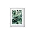 Picture of Green Ferns _GroupedProduct_Rectangle_Portrait_Photography _GroupedProduct_Rectangle_Portrait_Framed_Matted_