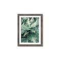 Picture of Green Ferns _GroupedProduct_Rectangle_Portrait_Photography _GroupedProduct_Rectangle_Portrait_Framed_Matted_