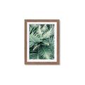Picture of Green Ferns _GroupedProduct_Rectangle_Portrait_Photography _GroupedProduct_Rectangle_Portrait_Framed_Matted_