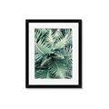 Picture of Green Ferns _GroupedProduct_Rectangle_Portrait_Photography _GroupedProduct_Rectangle_Portrait_Framed_Matted_