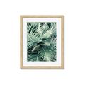 Picture of Green Ferns _GroupedProduct_Rectangle_Portrait_Photography _GroupedProduct_Rectangle_Portrait_Framed_Matted_