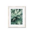 Picture of Green Ferns _GroupedProduct_Rectangle_Portrait_Photography _GroupedProduct_Rectangle_Portrait_Framed_Matted_
