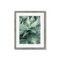 Picture of Green Ferns _GroupedProduct_Rectangle_Portrait_Photography _GroupedProduct_Rectangle_Portrait_Framed_Matted_