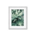 Picture of Green Ferns _GroupedProduct_Rectangle_Portrait_Photography _GroupedProduct_Rectangle_Portrait_Framed_Matted_