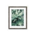 Picture of Green Ferns _GroupedProduct_Rectangle_Portrait_Photography _GroupedProduct_Rectangle_Portrait_Framed_Matted_