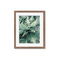 Picture of Green Ferns _GroupedProduct_Rectangle_Portrait_Photography _GroupedProduct_Rectangle_Portrait_Framed_Matted_