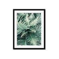 Picture of Green Ferns _GroupedProduct_Rectangle_Portrait_Photography _GroupedProduct_Rectangle_Portrait_Framed_Matted_