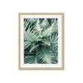 Picture of Green Ferns _GroupedProduct_Rectangle_Portrait_Photography _GroupedProduct_Rectangle_Portrait_Framed_Matted_