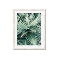 Picture of Green Ferns _GroupedProduct_Rectangle_Portrait_Photography _GroupedProduct_Rectangle_Portrait_Framed_Matted_