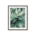 Picture of Green Ferns _GroupedProduct_Rectangle_Portrait_Photography _GroupedProduct_Rectangle_Portrait_Framed_Matted_
