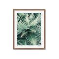 Picture of Green Ferns _GroupedProduct_Rectangle_Portrait_Photography _GroupedProduct_Rectangle_Portrait_Framed_Matted_