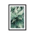 Picture of Green Ferns _GroupedProduct_Rectangle_Portrait_Photography _GroupedProduct_Rectangle_Portrait_Framed_Matted_