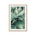 Picture of Green Ferns _GroupedProduct_Rectangle_Portrait_Photography _GroupedProduct_Rectangle_Portrait_Framed_Matted_