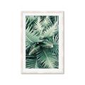 Picture of Green Ferns _GroupedProduct_Rectangle_Portrait_Photography _GroupedProduct_Rectangle_Portrait_Framed_Matted_