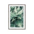 Picture of Green Ferns _GroupedProduct_Rectangle_Portrait_Photography _GroupedProduct_Rectangle_Portrait_Framed_Matted_