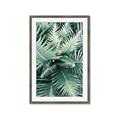 Picture of Green Ferns _GroupedProduct_Rectangle_Portrait_Photography _GroupedProduct_Rectangle_Portrait_Framed_Matted_