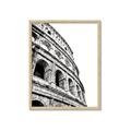 Picture of Colosseum  _GroupedProduct_Rectangle_Portrait_Photography _GroupedProduct_Rectangle_Portrait_Framed_Matted_