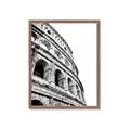 Picture of Colosseum  _GroupedProduct_Rectangle_Portrait_Photography _GroupedProduct_Rectangle_Portrait_Framed_Matted_