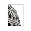 Picture of Colosseum  _GroupedProduct_Rectangle_Portrait_Photography _GroupedProduct_Rectangle_Portrait_Framed_Matted_