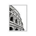 Picture of Colosseum  _GroupedProduct_Rectangle_Portrait_Photography _GroupedProduct_Rectangle_Portrait_Framed_Matted_
