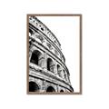 Picture of Colosseum  _GroupedProduct_Rectangle_Portrait_Photography _GroupedProduct_Rectangle_Portrait_Framed_Matted_