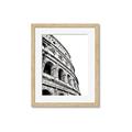 Picture of Colosseum  _GroupedProduct_Rectangle_Portrait_Photography _GroupedProduct_Rectangle_Portrait_Framed_Matted_