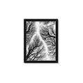 Picture of Web of Trees _GroupedProduct_Rectangle_Portrait_Photography _GroupedProduct_Rectangle_Portrait_Framed_Matted_