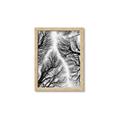 Picture of Web of Trees _GroupedProduct_Rectangle_Portrait_Photography _GroupedProduct_Rectangle_Portrait_Framed_Matted_