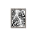 Picture of Web of Trees _GroupedProduct_Rectangle_Portrait_Photography _GroupedProduct_Rectangle_Portrait_Framed_Matted_