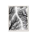 Picture of Web of Trees _GroupedProduct_Rectangle_Portrait_Photography _GroupedProduct_Rectangle_Portrait_Framed_Matted_