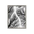 Picture of Web of Trees _GroupedProduct_Rectangle_Portrait_Photography _GroupedProduct_Rectangle_Portrait_Framed_Matted_