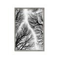 Picture of Web of Trees _GroupedProduct_Rectangle_Portrait_Photography _GroupedProduct_Rectangle_Portrait_Framed_Matted_
