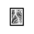 Picture of Web of Trees _GroupedProduct_Rectangle_Portrait_Photography _GroupedProduct_Rectangle_Portrait_Framed_Matted_