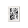 Picture of Web of Trees _GroupedProduct_Rectangle_Portrait_Photography _GroupedProduct_Rectangle_Portrait_Framed_Matted_