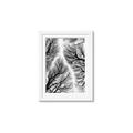 Picture of Web of Trees _GroupedProduct_Rectangle_Portrait_Photography _GroupedProduct_Rectangle_Portrait_Framed_Matted_