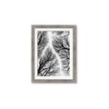 Picture of Web of Trees _GroupedProduct_Rectangle_Portrait_Photography _GroupedProduct_Rectangle_Portrait_Framed_Matted_