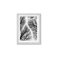 Picture of Web of Trees _GroupedProduct_Rectangle_Portrait_Photography _GroupedProduct_Rectangle_Portrait_Framed_Matted_