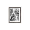Picture of Web of Trees _GroupedProduct_Rectangle_Portrait_Photography _GroupedProduct_Rectangle_Portrait_Framed_Matted_